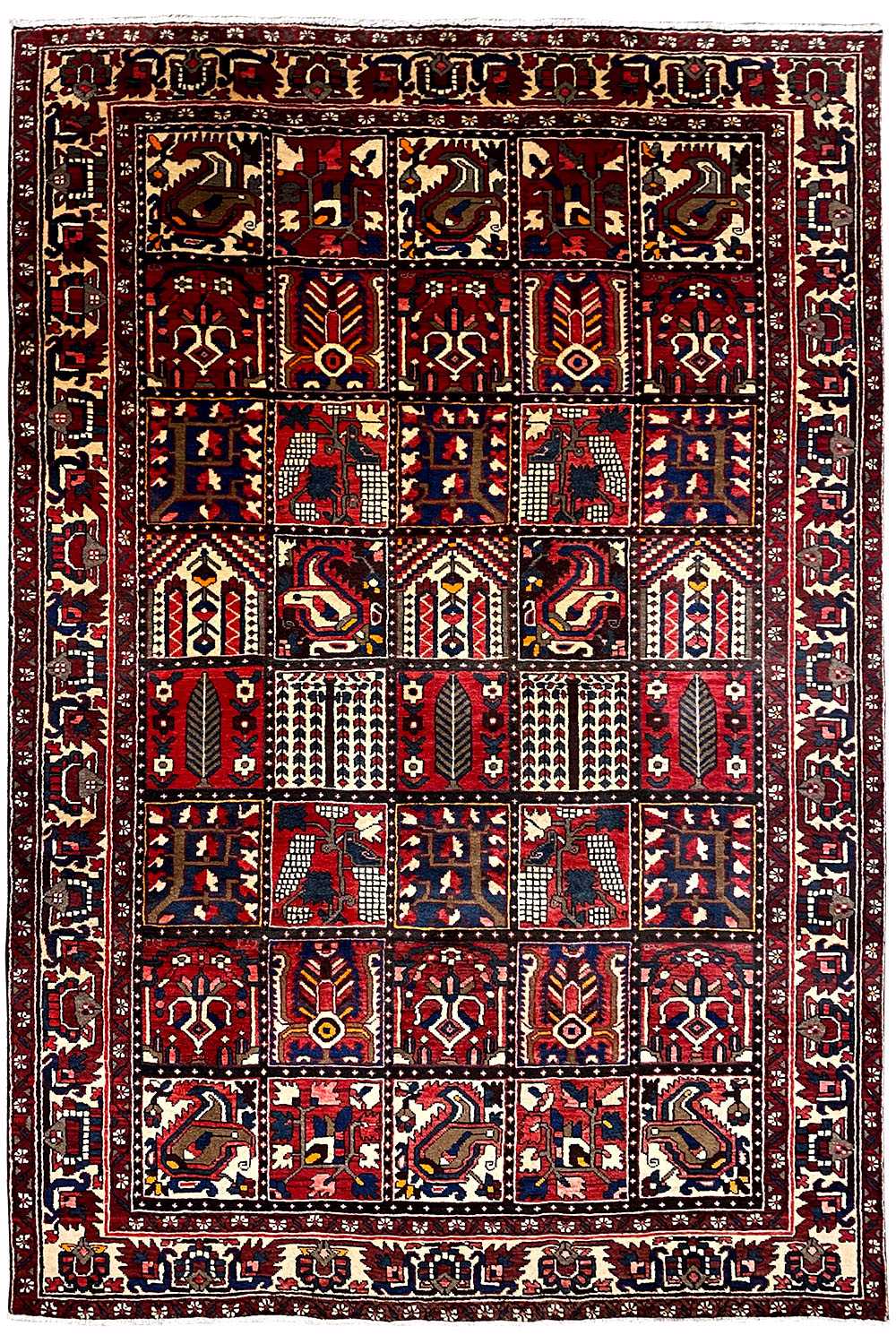 Bakhtiari oriental rug front view: red pattern with nested ornaments and border
