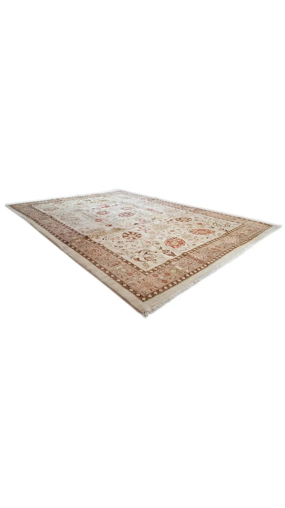 Oriental rug at an angle with a beige background and brown border