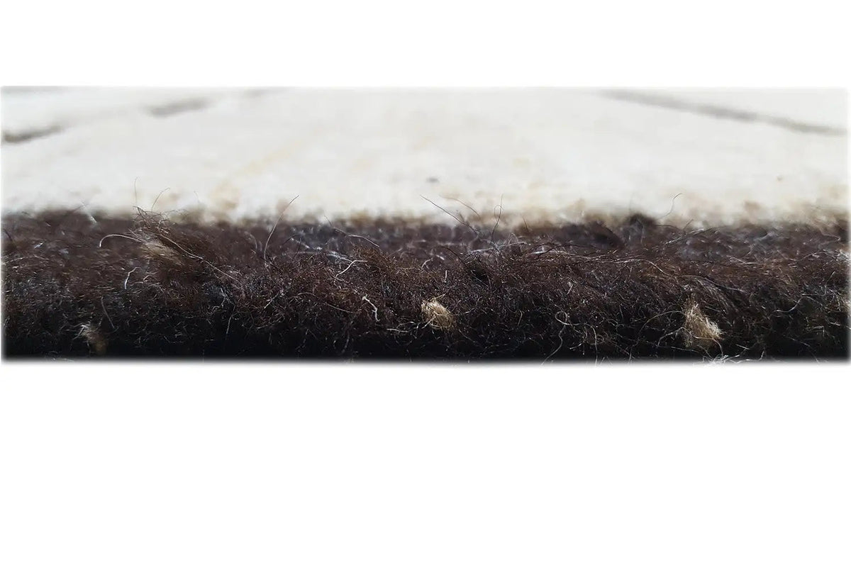 Close-up of Gabbeh rug: dark edge and fine pile with fringes