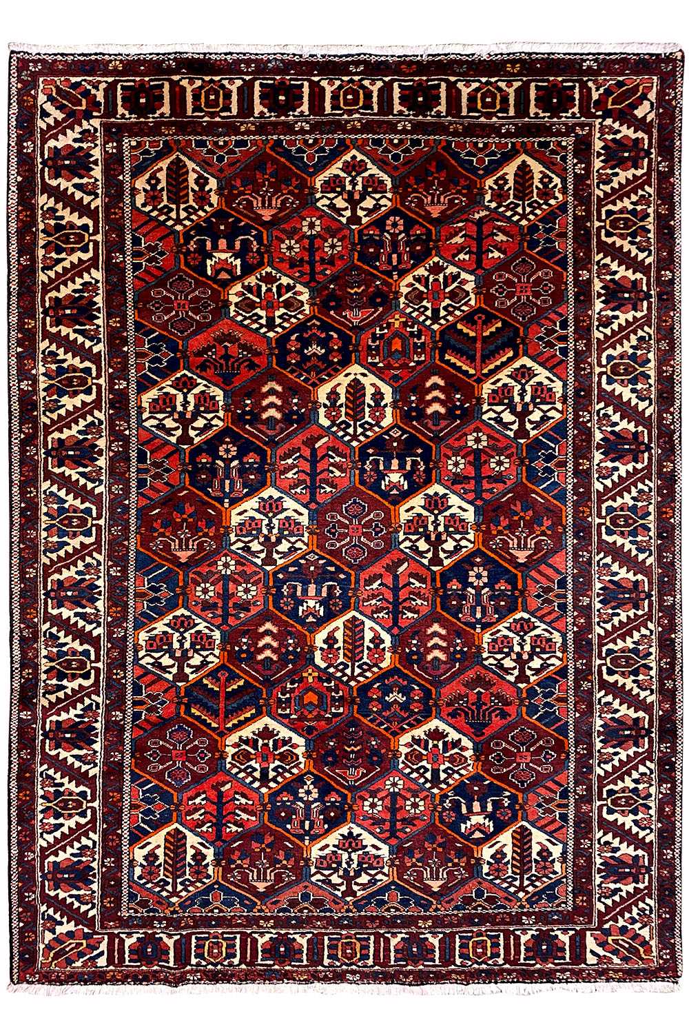 Bakhtiari (294x217 cm) - German Carpet Shop