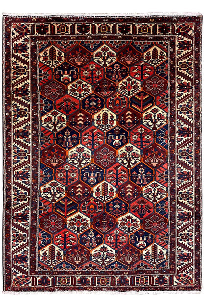 Bakhtiari (294x217 cm) - German Carpet Shop
