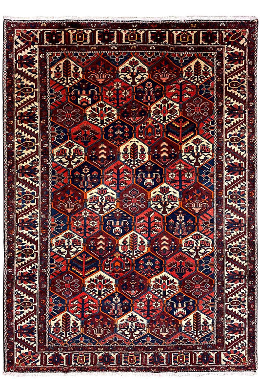 Bakhtiari (294x217 cm) - German Carpet Shop