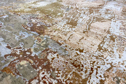 Designer-Teppich (308x252cm) - German Carpet Shop