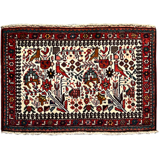  Poshti Teppich, Bunt, 104x68cm - Premium Poshti Teppich from German Carpet Shop - Just €199! Shop now at German Carpet Shop