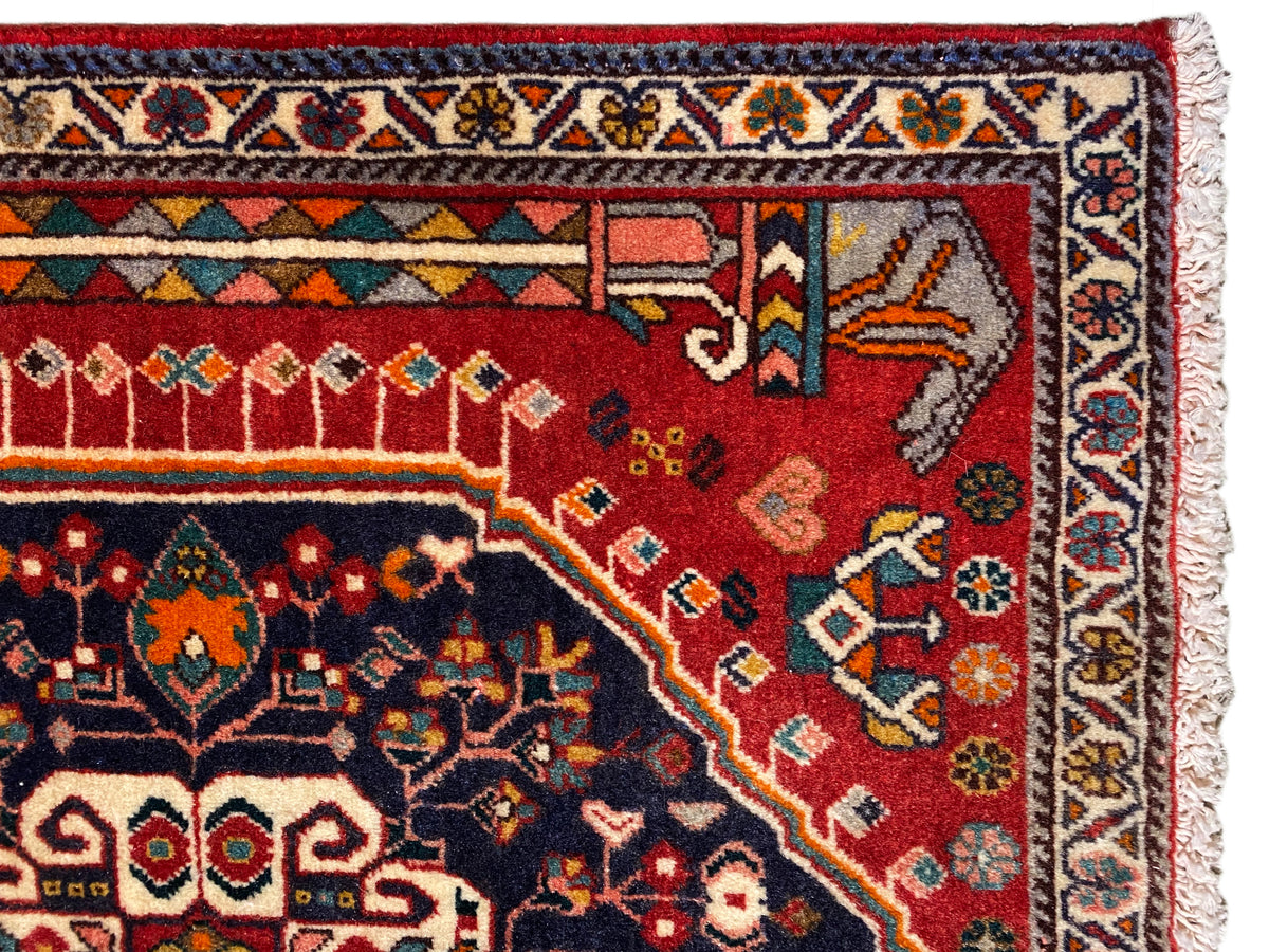 Carpet detail: red and blue ornamental field with a multicolored border and fringes