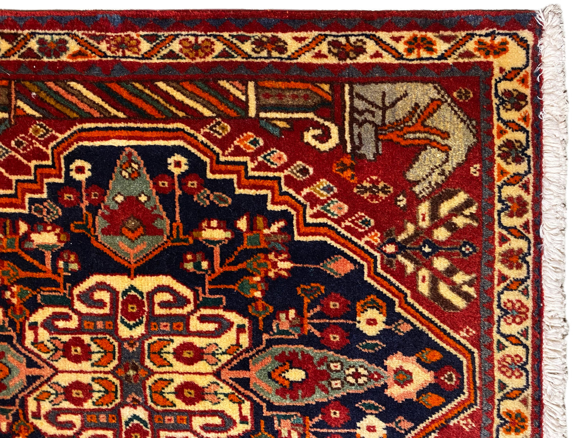 Carpet 65x59 cm close-up: multicolored border, decorative ornaments, woven edge