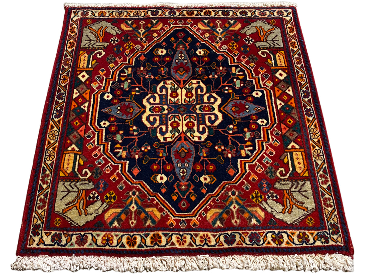 Red and dark blue rug with a central ornament, rectangular shape, and fringes