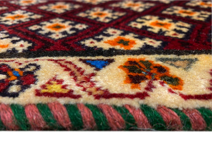 Poshti rug 61x59 cm: Detail of the pile texture and multicolored border, with fringes