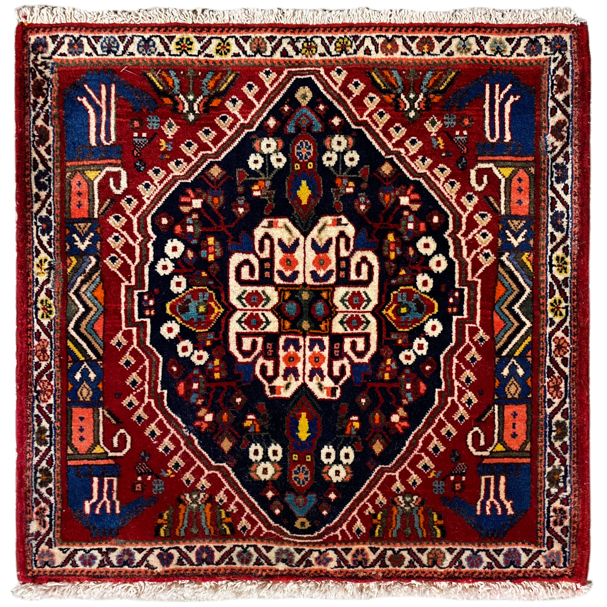 Poshti rug with a dark blue pattern and red borders, rectangular, fringed