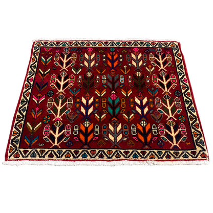 Poshti Carpet, Red - 69x58 cm