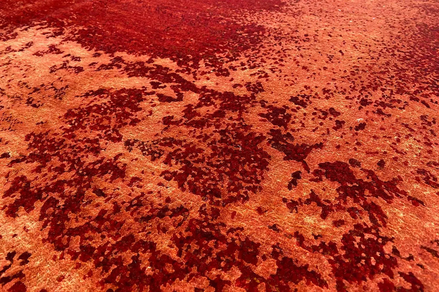 Designer-Teppich - 108163 (243x173cm) - German Carpet Shop