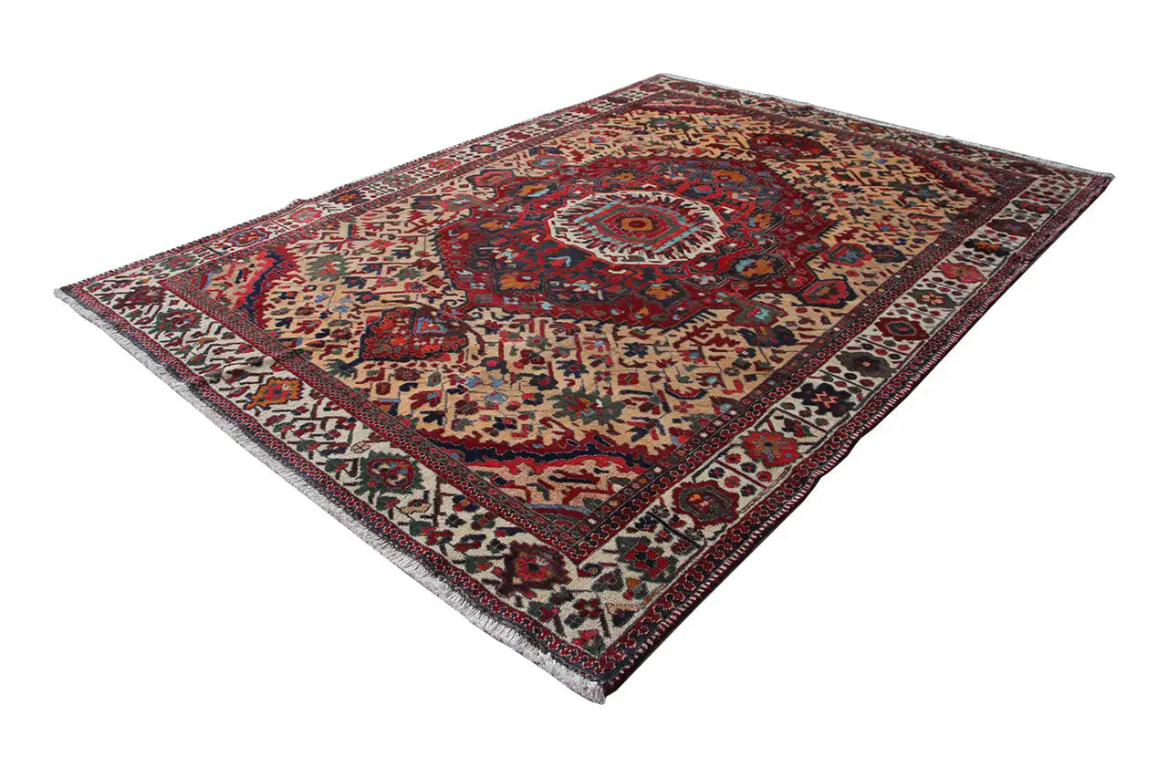 Bakhtiari - (320x234 cm) - German Carpet Shop